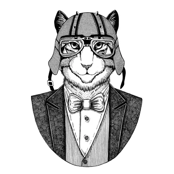 Afbeelding van binnenlandse kat dierlijke dragen vest met ' bow-tie en biker helm of aviatior helm. Elegante biker, motorrijder, vlieger. Afbeelding voor tattoo, t-shirt, embleem, badge, logo, patch — Stockfoto