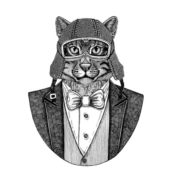 Wilde kat visserij kat dierlijke dragen vest met ' bow-tie en biker helm of aviatior helm. Elegante biker, motorrijder, vlieger. Afbeelding voor tattoo, t-shirt, embleem, badge, logo, patch — Stockfoto