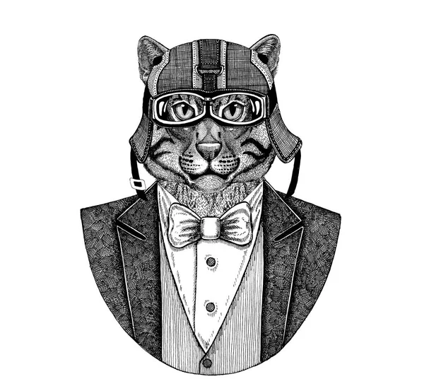 Wilde kat visserij kat dierlijke dragen vest met ' bow-tie en biker helm of aviatior helm. Elegante biker, motorrijder, vlieger. Afbeelding voor tattoo, t-shirt, embleem, badge, logo, patch — Stockfoto