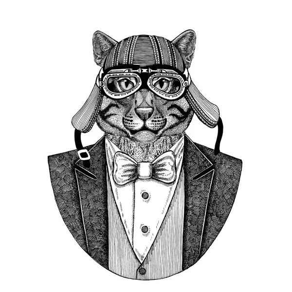 Vahşi kedi balıkçı kedi hayvan giyen ceketle papyon ve motosiklet kask ya da aviatior kask. Şık motorcu, motosiklet binici, havacı. Dövme, t-shirt, amblem, rozet, logo, yama için görüntü