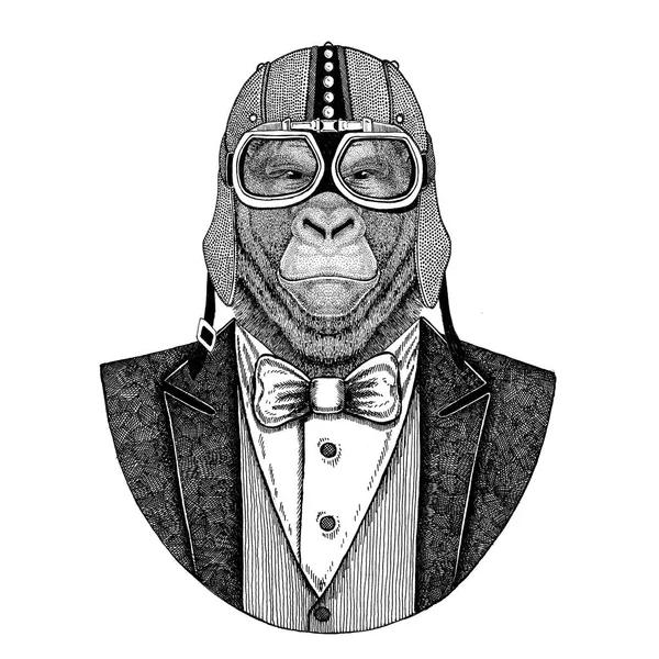 Gorilla, apina, apina. Eläimellä on takki, jossa on rusetti ja pyöräilijän kypärä tai aviatiorikypärä. Tyylikäs motoristi, moottoripyöräilijä, lentäjä. Kuva tatuointi, t-paita, tunnus, merkki, logo, laastari — kuvapankkivalokuva
