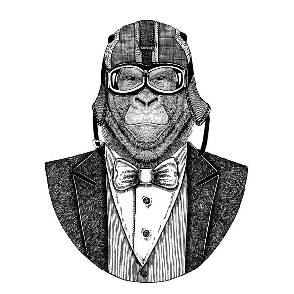 大猩猩, 猴子, 猿动物穿夹克与弓领带和车手头盔或 aviatior 头盔。优雅的摩托车手, 摩托骑手, 飞行员。图像为纹身, t-shirt, 徽章, 徽章, 标志, 补丁 — 图库照片