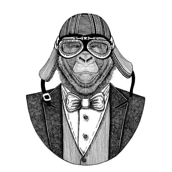 Gorila, macaco, macaco. Revestimento animal com gravata borboleta e capacete motociclista ou capacete aviador. Elegante motociclista, motociclista, aviador. Imagem para tatuagem, t-shirt, emblema, emblema, logotipo, remendo — Fotografia de Stock