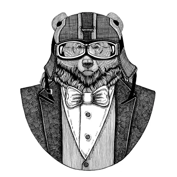 Urso Grisalho Urso Grande Urso selvagem Casaco de uso animal com gravata borboleta e capacete de motociclista ou capacete aviador. Elegante motociclista, motociclista, aviador. Imagem para tatuagem, t-shirt, emblema, emblema, logotipo, remendo — Fotografia de Stock