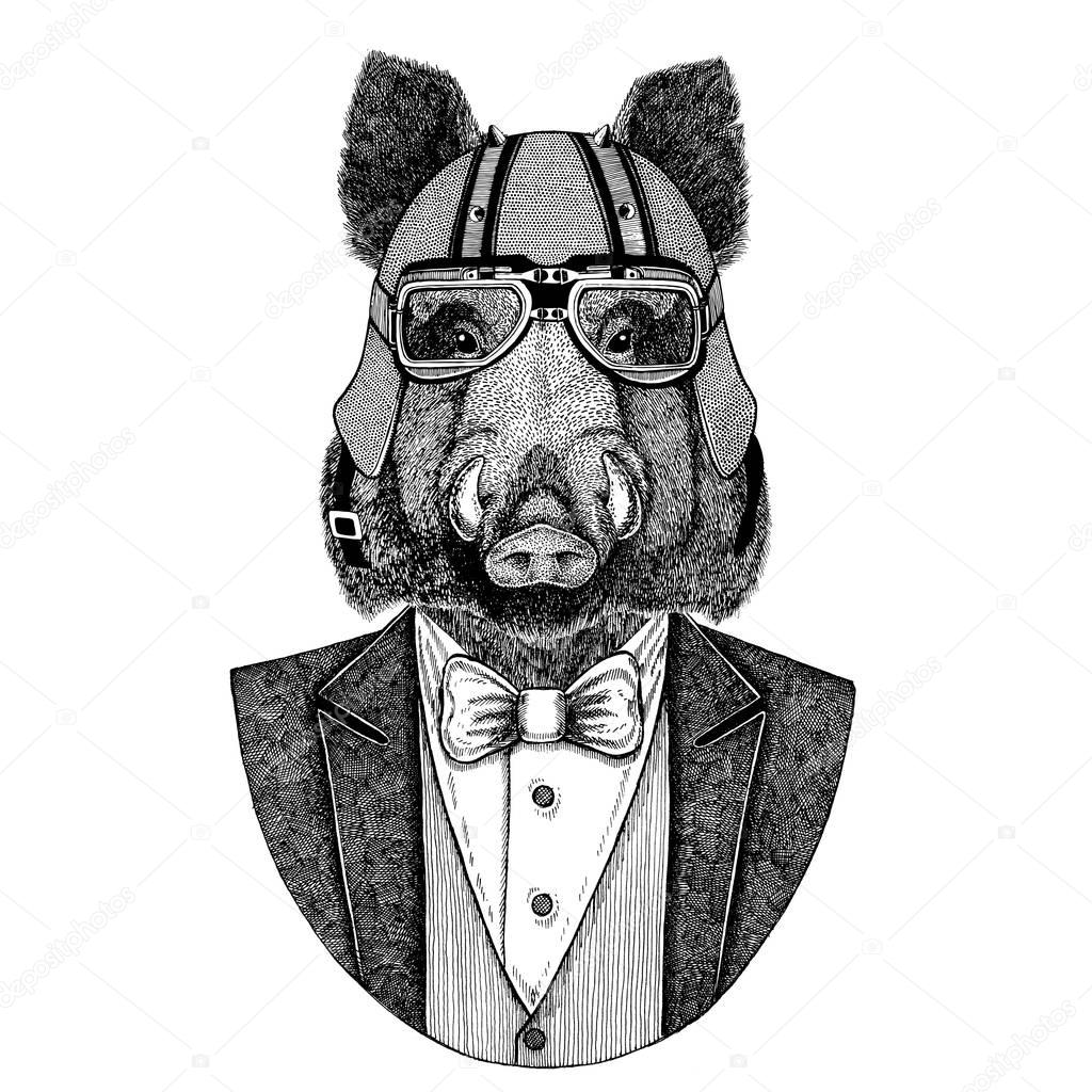 Aper, boar, hog, wild boar, aper. Animal wearing jacket with bow-tie and biker helmet or aviatior helmet. Elegant biker, motorcycle rider. Image for tattoo, t-shirt, emblem, badge, logo, patches