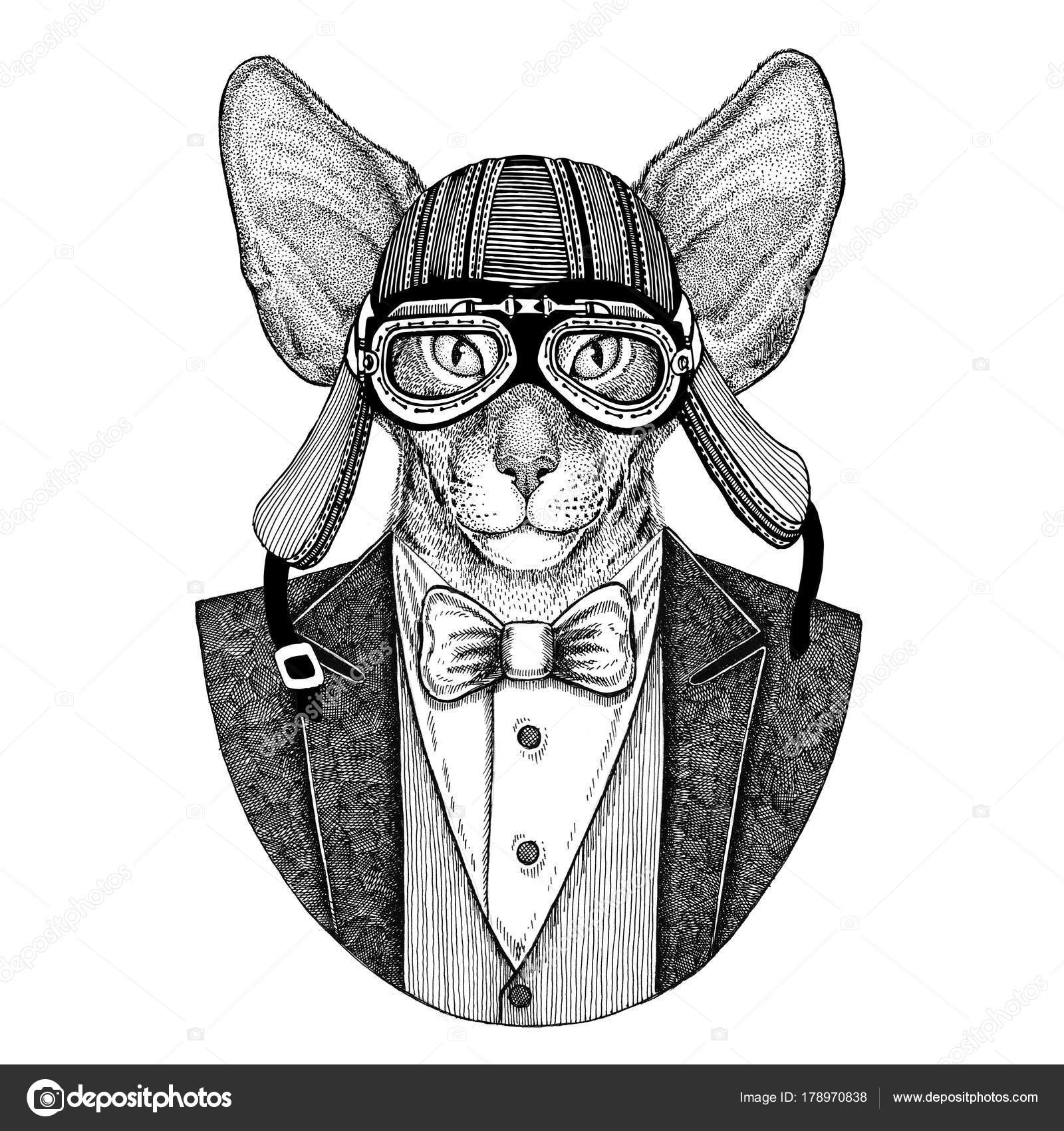 100 猫手 イラスト かわいいフリー素材集 いらすとや 100 猫手 イラスト かわいいフリー素材集 いらすとや