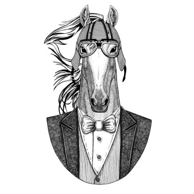 At, hoss, şövalye, at, ADİYAT ceket papyon ve motosiklet kask ya da aviatior kask ile. Şık motorcu, motosiklet binici, havacı. Dövme, t-shirt, amblem, rozet, logo, yama için görüntü