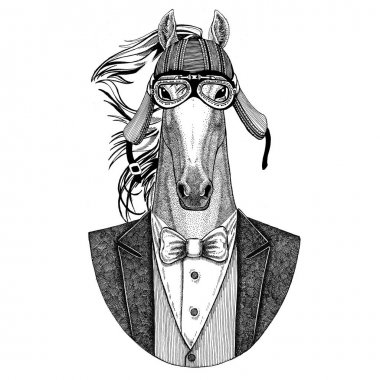 At, hoss, şövalye, at, ADİYAT ceket papyon ve motosiklet kask ya da aviatior kask ile. Şık motorcu, motosiklet binici, havacı. Dövme, t-shirt, amblem, rozet, logo, yama için görüntü