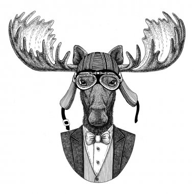 Moose, elk hayvan giyen ceketle papyon ve motosiklet kask ya da aviatior kask. Şık motorcu, motosiklet binici, havacı. Dövme, t-shirt, amblem, rozet, logo, yama için görüntü