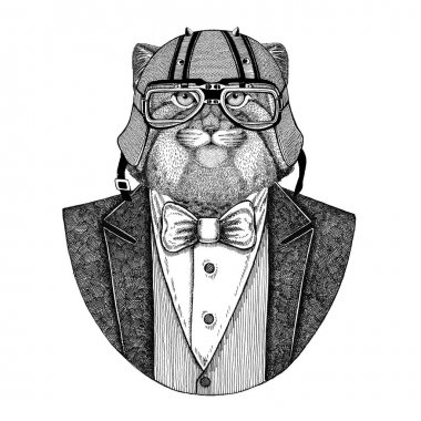 Vahşi Manul papyon ve motosiklet kask ya da aviatior kask ile ceket hayvan kedi. Şık motorcu, motosiklet binici, havacı. Dövme, t-shirt, amblem, rozet, logo, yama için görüntü