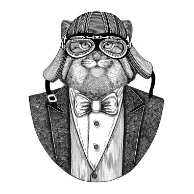 Vahşi Manul papyon ve motosiklet kask ya da aviatior kask ile ceket hayvan kedi. Şık motorcu, motosiklet binici, havacı. Dövme, t-shirt, amblem, rozet, logo, yama için görüntü