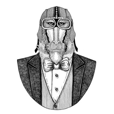 Maymun, maymun, köpek-maymun, maymun hayvan giyen ceketle papyon ve motosiklet kask ya da aviatior kask. Şık motorcu, motosiklet binici, havacı. Dövme, t-shirt, amblem, rozet, logo, yama için görüntü
