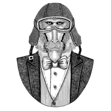Maymun, maymun, köpek-maymun, maymun hayvan giyen ceketle papyon ve motosiklet kask ya da aviatior kask. Şık motorcu, motosiklet binici, havacı. Dövme, t-shirt, amblem, rozet, logo, yama için görüntü