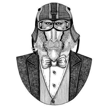 Maymun, maymun, köpek-maymun, maymun hayvan giyen ceketle papyon ve motosiklet kask ya da aviatior kask. Şık motorcu, motosiklet binici, havacı. Dövme, t-shirt, amblem, rozet, logo, yama için görüntü