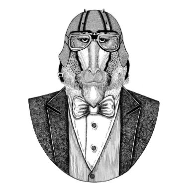 Maymun, maymun, köpek-maymun, maymun hayvan giyen ceketle papyon ve motosiklet kask ya da aviatior kask. Şık motorcu, motosiklet binici, havacı. Dövme, t-shirt, amblem, rozet, logo, yama için görüntü