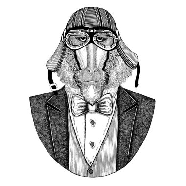 Maymun, maymun, köpek-maymun, maymun hayvan giyen ceketle papyon ve motosiklet kask ya da aviatior kask. Şık motorcu, motosiklet binici, havacı. Dövme, t-shirt, amblem, rozet, logo, yama için görüntü