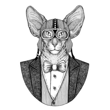 Büyük kulakları ile oryantal kedi dövme için çizilen illüstrasyon el e