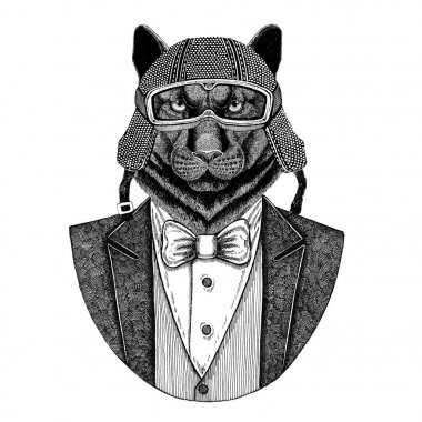 Panter Puma Cougar vahşi kedi hayvan giyen ceketle papyon ve motosiklet kask ya da aviatior kask. Şık motorcu, motosiklet binici, havacı. Dövme, t-shirt, amblem, rozet, logo, yama için görüntü