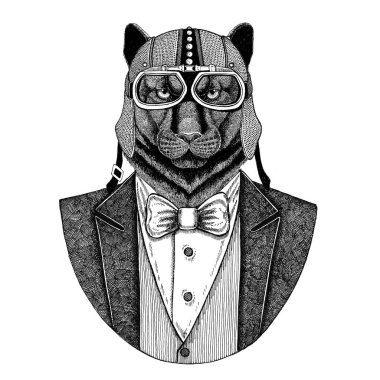 Panter Puma Cougar vahşi kedi hayvan giyen ceketle papyon ve motosiklet kask ya da aviatior kask. Şık motorcu, motosiklet binici, havacı. Dövme, t-shirt, amblem, rozet, logo, yama için görüntü