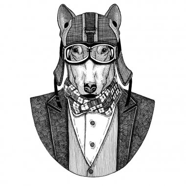 Boğa korkunç. Köpek. Papyon ve motosiklet kask ya da aviatior kask ile ceket hayvan. Şık motorcu, motosiklet binici, havacı. Dövme, t-shirt, amblem, rozet, logo, yamalar için görüntü