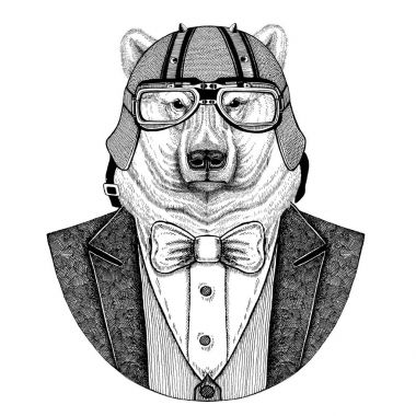 Kutup ayısı el hayvan giyen ceket papyon ve motosiklet kask ya da aviatior kask ile çekilmiş. Şık motorcu, motosiklet binici, havacı. Dövme, t-shirt, amblem, rozet, logo, yamalar için görüntü