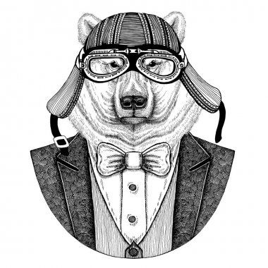 Kutup ayısı el hayvan giyen ceket papyon ve motosiklet kask ya da aviatior kask ile çekilmiş. Şık motorcu, motosiklet binici, havacı. Dövme, t-shirt, amblem, rozet, logo, yamalar için görüntü