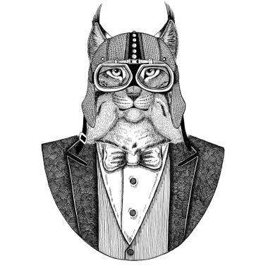 Vahşi kedi Lynx Bobcat tırıs hayvan giyen ceketle papyon ve motosiklet kask ya da aviatior kask. Şık motorcu, motosiklet binici, havacı. Dövme, t-shirt, amblem, rozet, logo, yamalar için görüntü