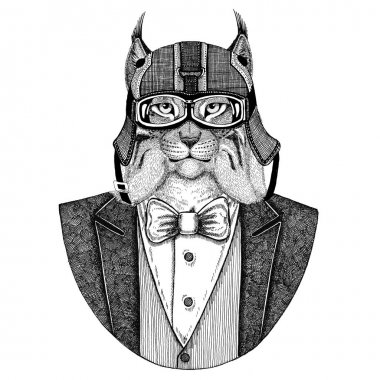 Vahşi kedi Lynx Bobcat tırıs hayvan giyen ceketle papyon ve motosiklet kask ya da aviatior kask. Şık motorcu, motosiklet binici, havacı. Dövme, t-shirt, amblem, rozet, logo, yamalar için görüntü