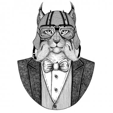 Vahşi kedi Lynx Bobcat tırıs hayvan giyen ceketle papyon ve motosiklet kask ya da aviatior kask. Şık motorcu, motosiklet binici, havacı. Dövme, t-shirt, amblem, rozet, logo, yamalar için görüntü