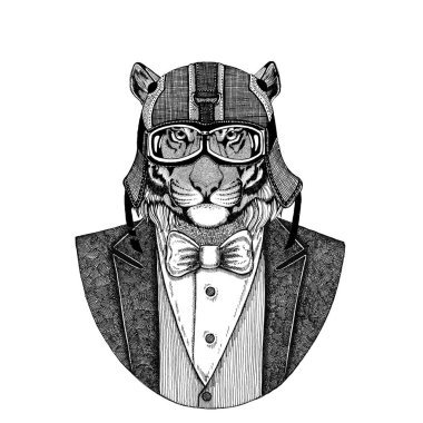 Vahşi Kaplan papyon ve motosiklet kask ya da aviatior kask ile hayvan giyen ceket. Şık motorcu, motosiklet binici, havacı. Dövme, t-shirt, amblem, rozet, logo, yamalar için görüntü