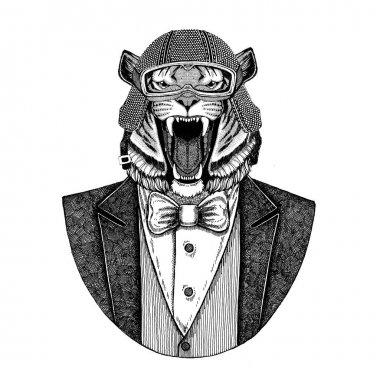 Vahşi Kaplan papyon ve motosiklet kask ya da aviatior kask ile hayvan giyen ceket. Şık motorcu, motosiklet binici, havacı. Dövme, t-shirt, amblem, rozet, logo, yamalar için görüntü