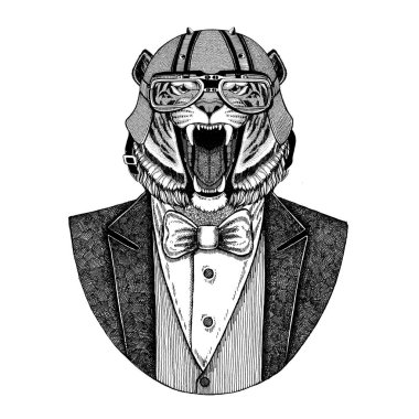 Vahşi Kaplan papyon ve motosiklet kask ya da aviatior kask ile hayvan giyen ceket. Şık motorcu, motosiklet binici, havacı. Dövme, t-shirt, amblem, rozet, logo, yamalar için görüntü