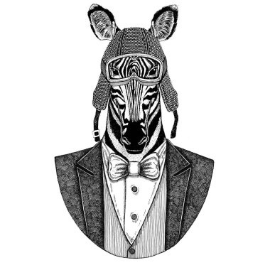 Zebra at hayvan papyon ve motosiklet kask ya da aviatior kask ile ceket giyiyor. Şık motorcu, motosiklet binici, havacı. Dövme, t-shirt, amblem, rozet, logo, yama için görüntü