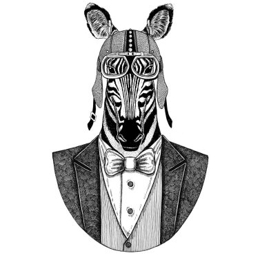 Zebra at hayvan papyon ve motosiklet kask ya da aviatior kask ile ceket giyiyor. Şık motorcu, motosiklet binici, havacı. Dövme, t-shirt, amblem, rozet, logo, yama için görüntü