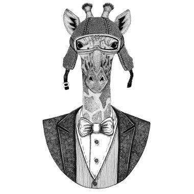 Camelopard, zürafa hayvan giyen ceketle papyon ve motosiklet kask ya da aviatior kask. Şık motorcu, motosiklet binici, havacı. Dövme, t-shirt, amblem, rozet, logo, yama için görüntü