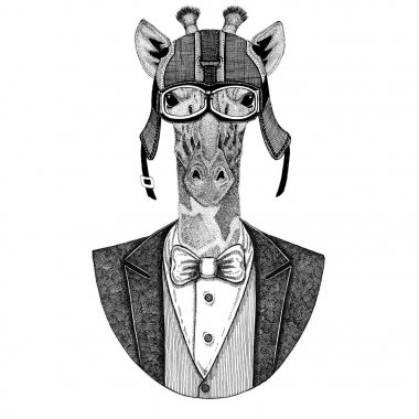 Camelopard, zürafa hayvan giyen ceketle papyon ve motosiklet kask ya da aviatior kask. Şık motorcu, motosiklet binici, havacı. Dövme, t-shirt, amblem, rozet, logo, yama için görüntü