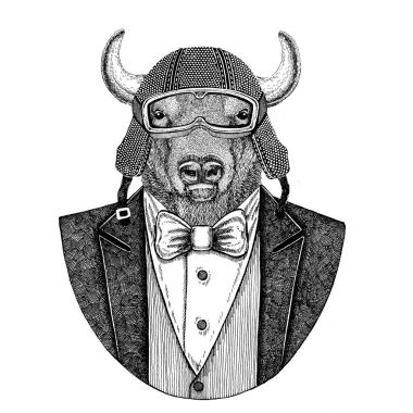 Buffalo, bison, öküz, papyon ve motosiklet kask ya da aviatior kask ile ceket hayvan boğa. Şık motorcu, motosiklet binici, havacı. Dövme, t-shirt, amblem, rozet, logo, yama için görüntü