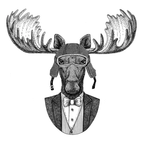 Moose, elk Animal wearing jacket with bow-tie and biker helmet or aviatior helmet. Elegant biker, motorcycle rider, aviator. Image for tattoo, t-shirt, emblem, badge, logo, patch — Stock Photo, Image