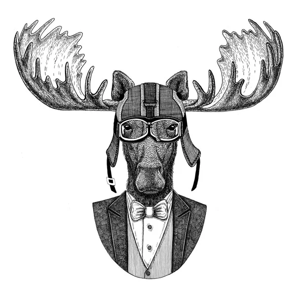 Moose, elk Animal wearing jacket with bow-tie and biker helmet or aviatior helmet. Elegant biker, motorcycle rider, aviator. Image for tattoo, t-shirt, emblem, badge, logo, patch — Stock Photo, Image