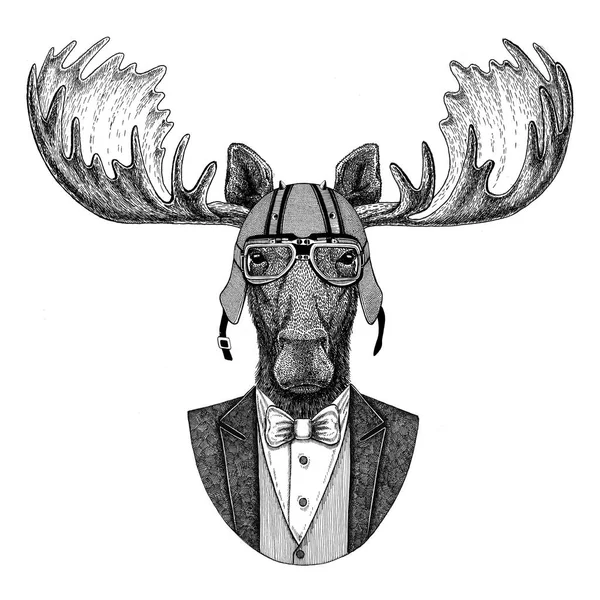 Moose, elk Animal wearing jacket with bow-tie and biker helmet or aviatior helmet. Elegant biker, motorcycle rider, aviator. Image for tattoo, t-shirt, emblem, badge, logo, patch — Stock Photo, Image