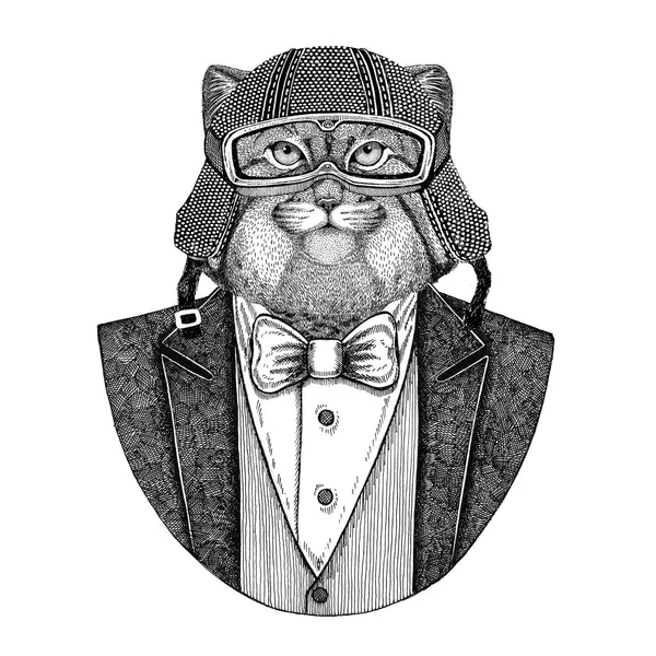 Wild cat Manul dier vest met ' bow-tie en biker helm of aviatior helm dragen. Elegante biker, motorrijder, vlieger. Afbeelding voor tattoo, t-shirt, embleem, badge, logo, patch — Stockfoto