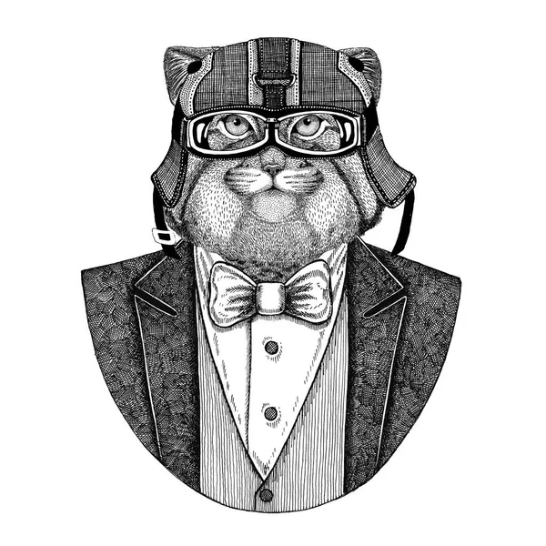 Wild cat Manul dier vest met ' bow-tie en biker helm of aviatior helm dragen. Elegante biker, motorrijder, vlieger. Afbeelding voor tattoo, t-shirt, embleem, badge, logo, patch — Stockfoto