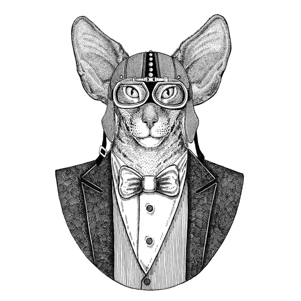 Oriental gato com orelhas grandes ilustração desenhada à mão para tatuagem, e — Fotografia de Stock