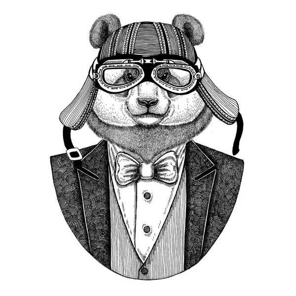 Panda bear, bamboo bear wearing jacket with bow-tie and biker helmet or aviatior helmet. Elegant biker, motorcycle rider, aviator. Image for tattoo, t-shirt, emblem, badge, logo, patches