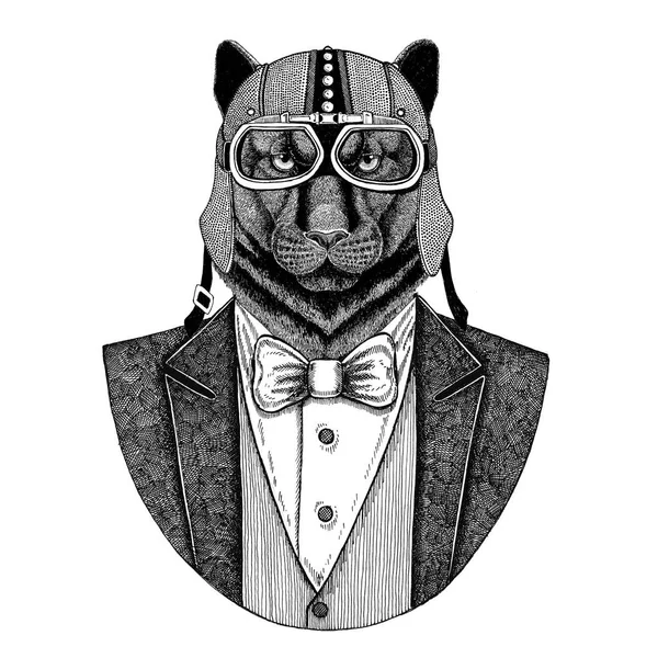 Panther Puma Cougar wilde kat dierlijke dragen vest met ' bow-tie en biker helm of aviatior helm. Elegante biker, motorrijder, vlieger. Afbeelding voor tattoo, t-shirt, embleem, badge, logo, patch — Stockfoto