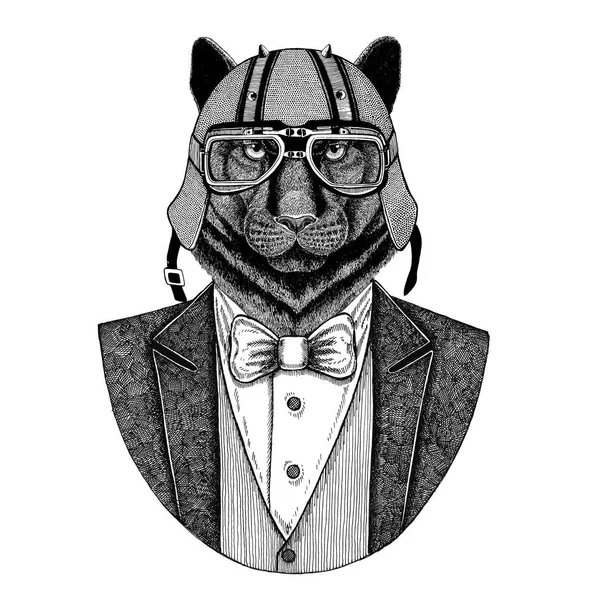 Πάνθηρας Puma Cougar άγρια γάτα ζώων φορώντας μπουφάν με παπιγιόν και ποδηλάτης κράνος ή aviatior κράνος. Κομψό ποδηλάτης, μοτοσικλέτα αναβάτη, αεροπόρος. Εικόνας για τατουάζ, t-shirt, έμβλημα, σήμα, λογότυπο, patch — Φωτογραφία Αρχείου