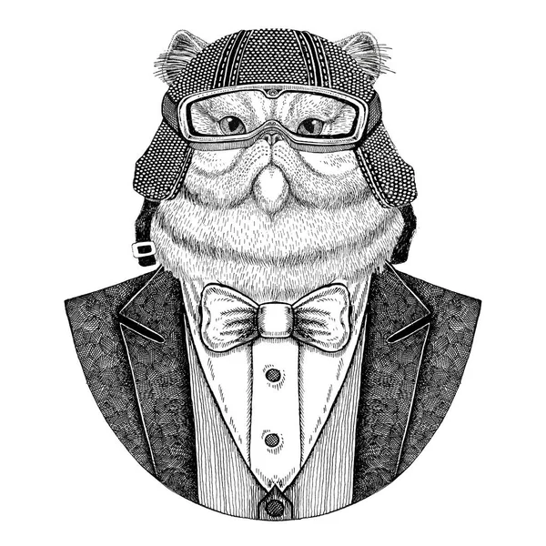 Kabarık Farsça kedi hayvan giyen ceketle papyon ve motosiklet kask ya da aviatior kask portresi. Şık motorcu, motosiklet binici, havacı. Dövme, t-shirt, amblem, rozet, logo, yamalar için görüntü