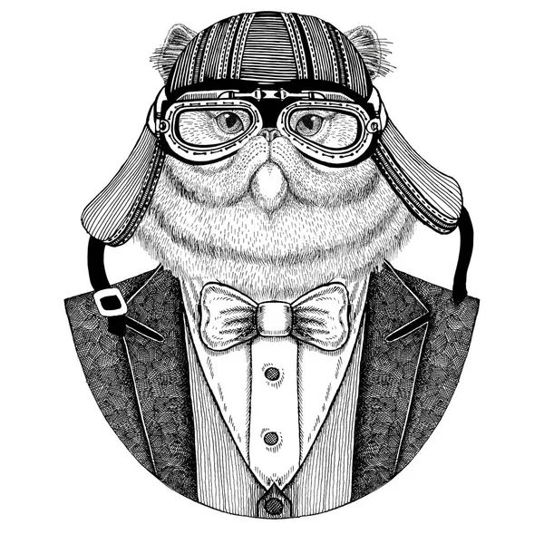 Retrato de gato persa fofo Casaco de uso animal com gravata borboleta e capacete motociclista ou capacete aviador. Elegante motociclista, motociclista, aviador. Imagem para tatuagem, t-shirt, emblema, crachá, logotipo, remendos — Fotografia de Stock