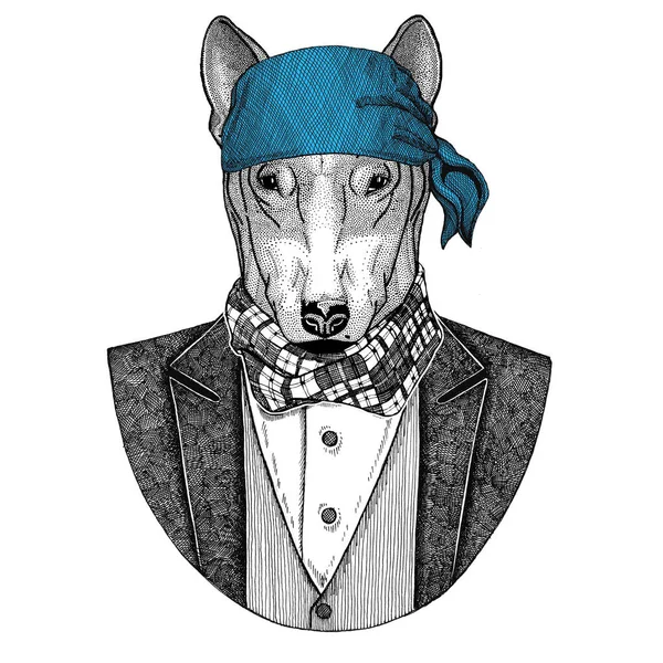 Toro terrier. Perro. Elegante animal pirata con bandana Imagen dibujada a mano para tatuaje, camiseta, emblema, insignia, logotipo, parche —  Fotos de Stock