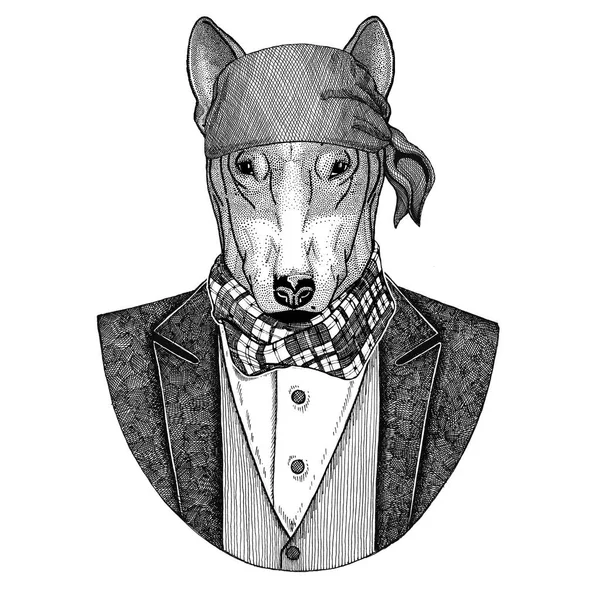 Bull terrier. Dog. Elegant pirate animal wearing bandana Hand drawn image for tattoo, t-shirt, emblem, badge, logo, patch